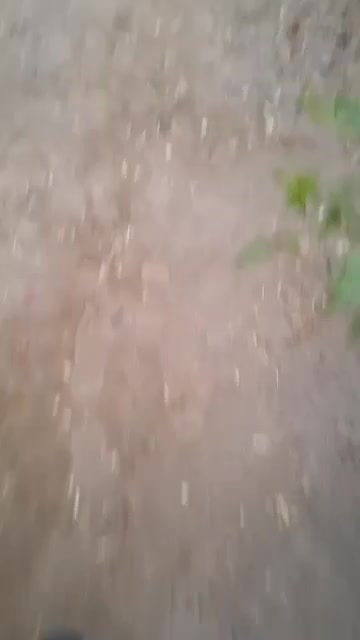 فروش باغ ویلا با دو مجوز گلخانه و ساخت|فروش خانه و ویلا|شوشتر, |دیوار