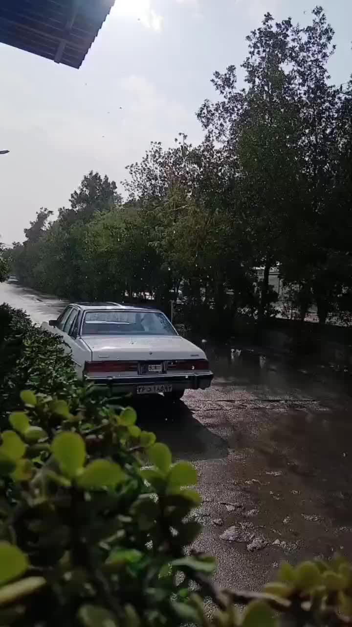 بیوک B3مدل65|خودرو کلاسیک|دوگنبدان, |دیوار