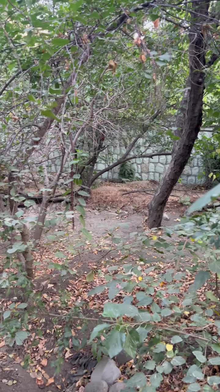 فروش ۲۰۰ متر باغ در سولقان دارای درختان میوه|فروش زمین و ملک کلنگی|کن, |دیوار