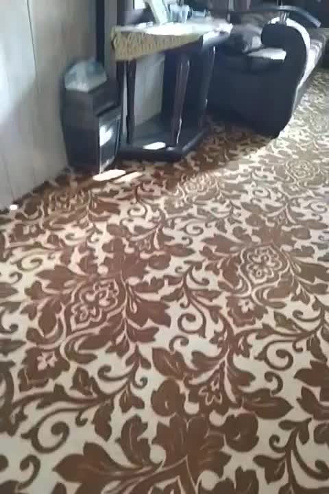 خانه ۱۰۰متری. طبقه دوم مبله یاغیره اجاره داده|اجارهٔ آپارتمان|رزن, |دیوار