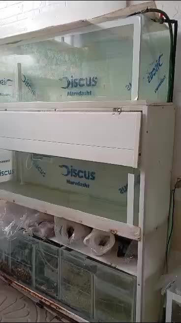 فروش آکواریوم بزرگ|ماهی|مزایجان, |دیوار