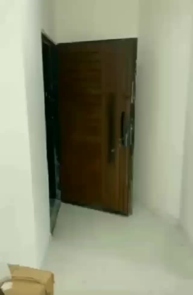 پیمانکاری/بازسازی،نوسازی جزء وکلی ساختمان/تاسیسات|خدمات پیشه و مهارت|مشهد, فارغ التحصیلان|دیوار