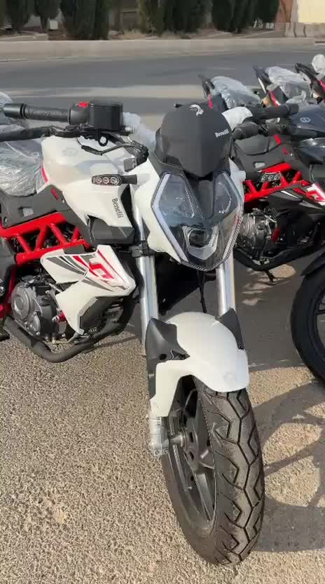 فروش اقساطی انواع بنلی|موتورسیکلت|شیراز, شهرک گلستان|دیوار