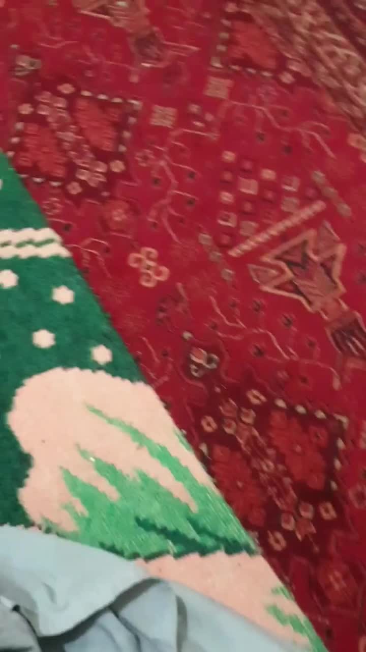 عروس هلندی گمشده|حیوانات|بروجرد, |دیوار