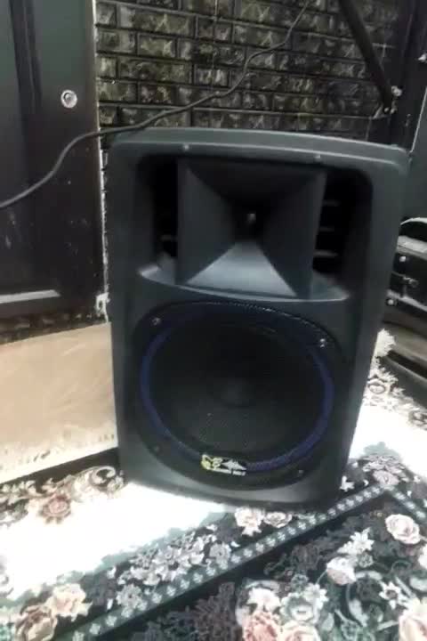 فروش باند اکتیو ۱۲ اینچ  فلش بلوتوث و میکروفون|سیستم صوتی خانگی|شیراز, شریف‌آباد|دیوار