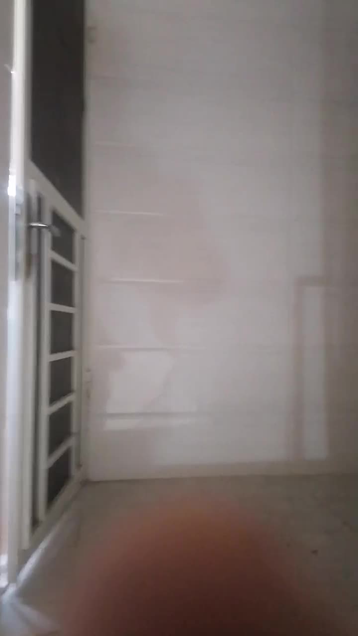 اجاره دفتر کار|اجارهٔ دفتر کار، اتاق اداری، مطب|شیراز, انجیر|دیوار