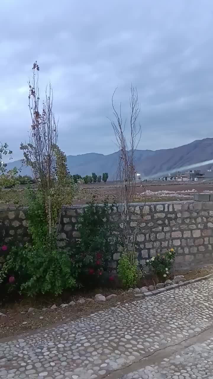 برگزاری مهمانی های خصوصی و اداری جشن مراسمات|خدمات پذیرایی، مراسم|ایذه, |دیوار