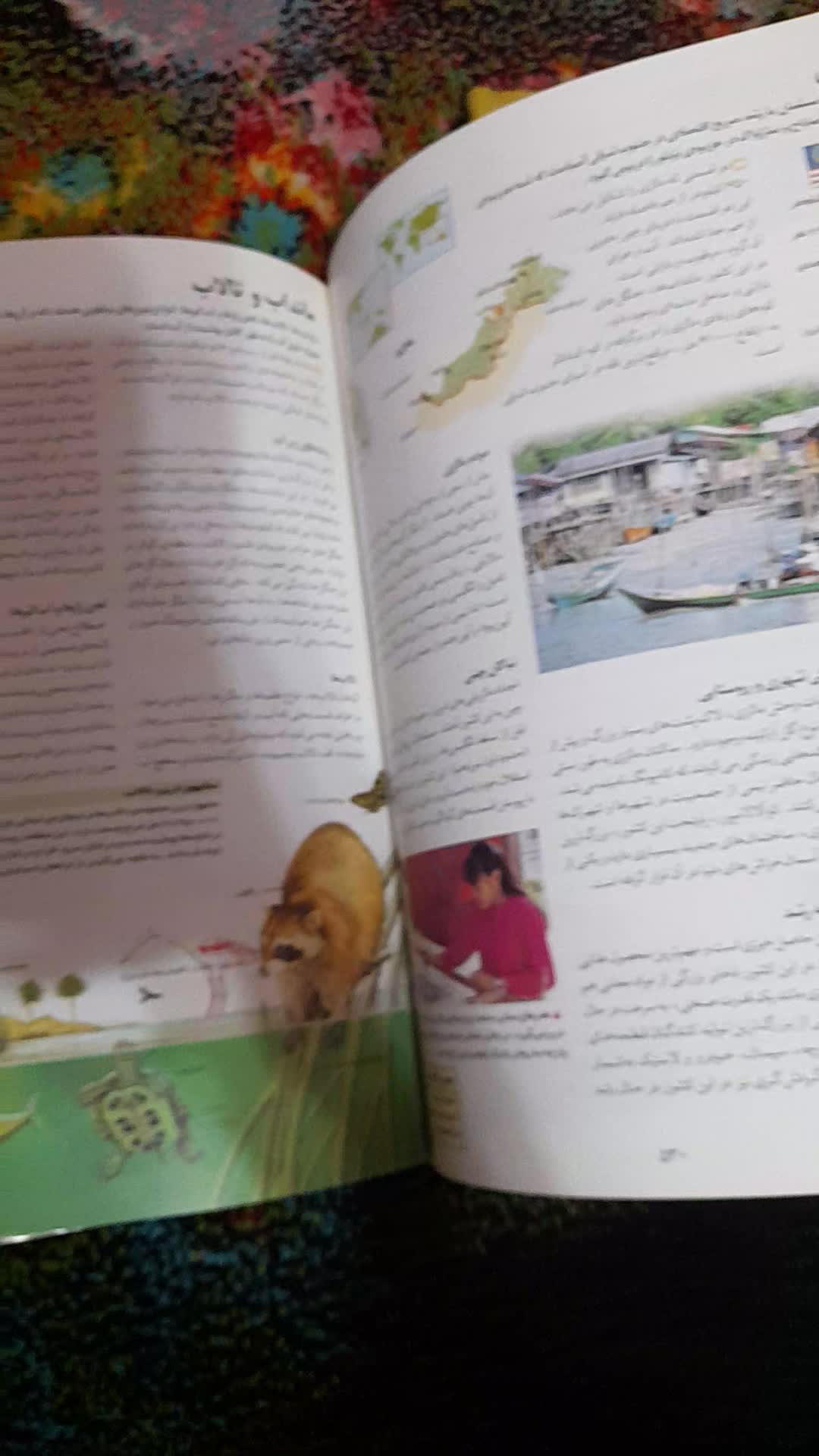 کتاب مصور|کتاب و مجله ادبی|شیراز, شهرک ولیعصر|دیوار