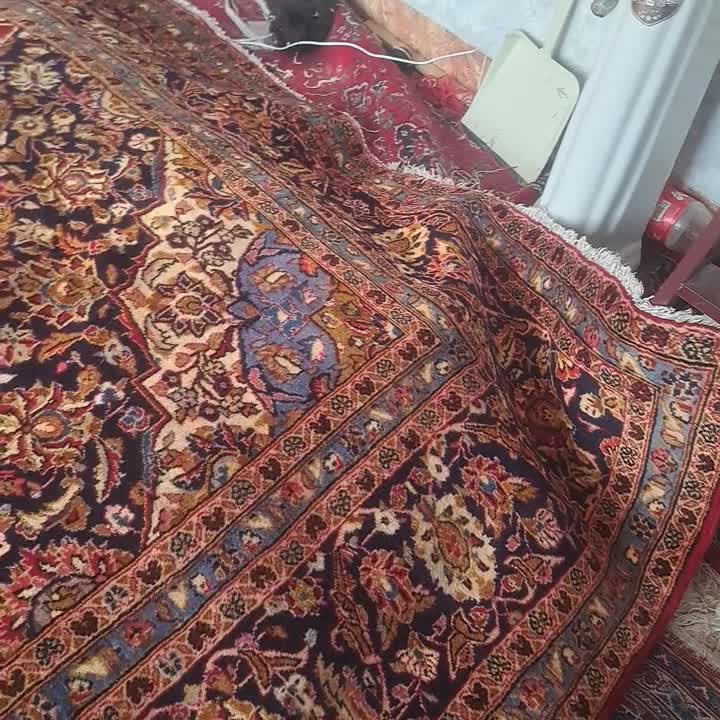 فرش ۱۴متری دستبافت آذرایپک|فرش|آذرشهر, |دیوار