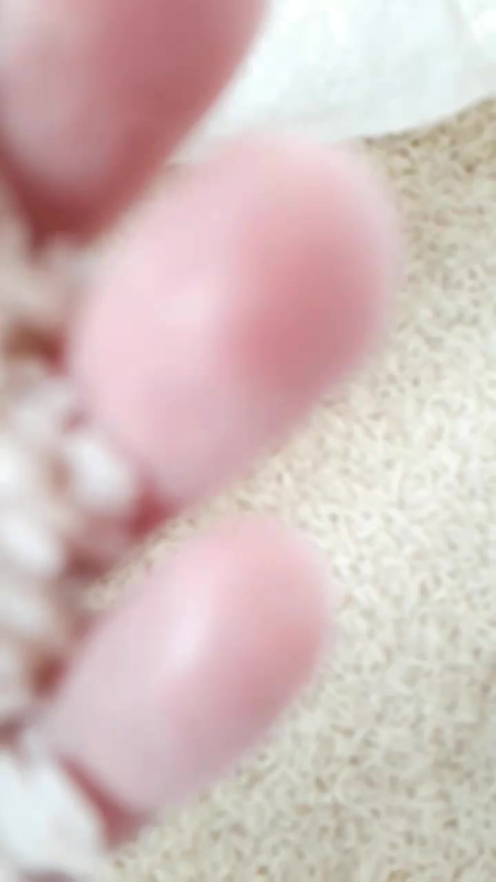 برنج هاشمی خوش عطر و پخت از شفت|خوردنی و آشامیدنی|رشت, پل تالشان|دیوار