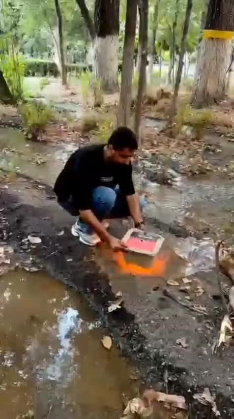 زغال/زغال کبابی/ خودسوز/ فروش عمده|عمدهفروشی|رشت, بازار|دیوار