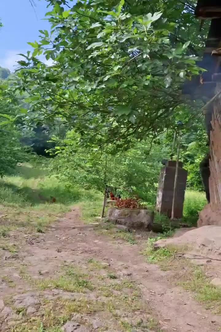 اجاره ی کلبه|اجارهٔ کوتاه‌مدت ویلا و باغ|توتکابن, |دیوار