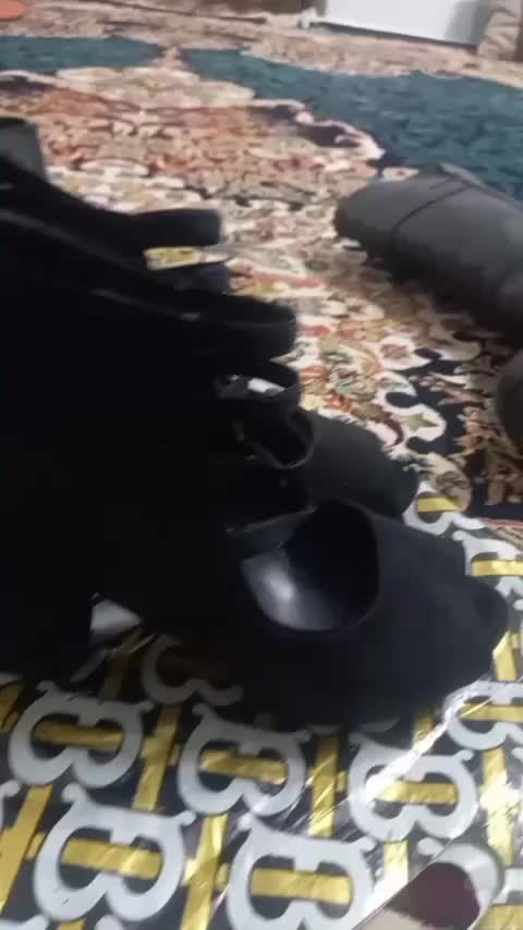 کفشمجلسی|کیف، کفش، کمربند|تهران, امام زاده عبدالله|دیوار