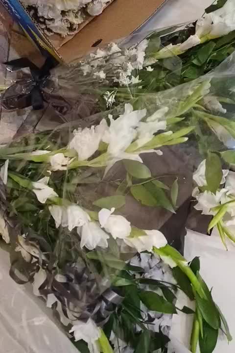 گل و دسته گل فوری|گل و گیاه طبیعی|تهران, باغ فیض|دیوار