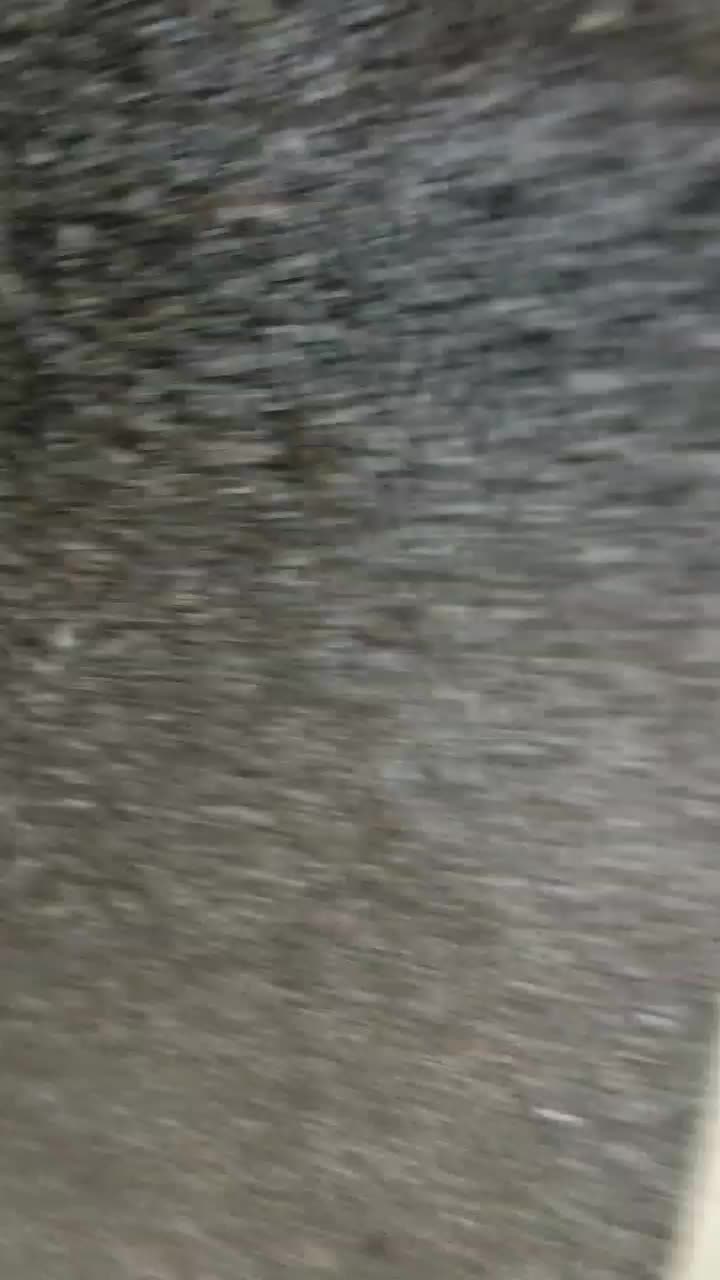 تیگو 7 پروپرمیوم مدل۱۴۰۲بیرنگ گارانتی فعال|خودرو سواری و وانت|شاهین دژ, |دیوار