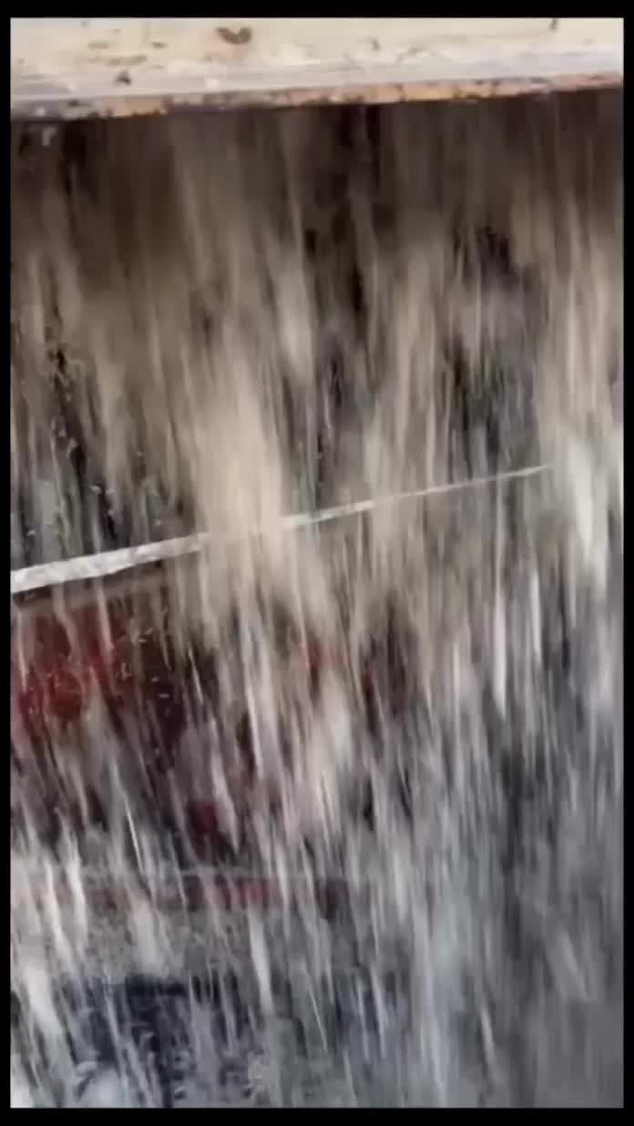 تفاله چغندر|حیوانات مزرعه|فرخ‌شهر, |دیوار