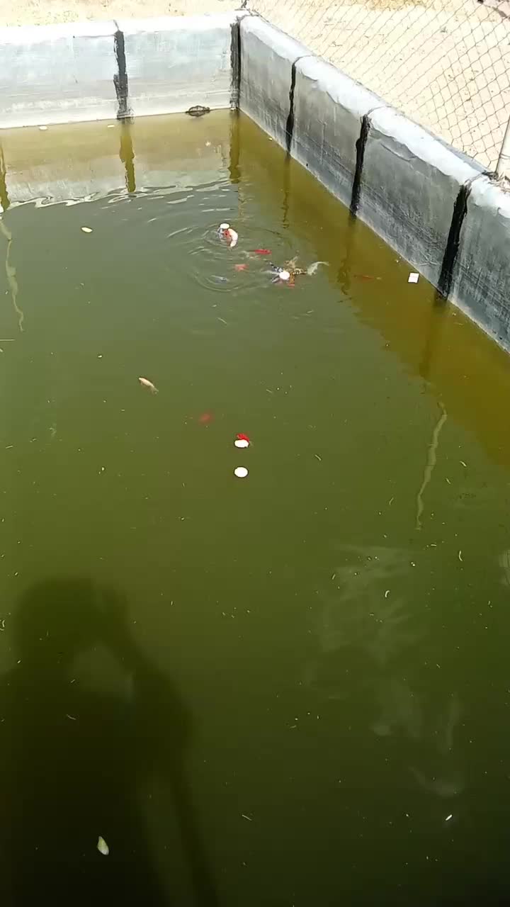 باغ سرسبز|فروش خانه و ویلا|ساروق, |دیوار