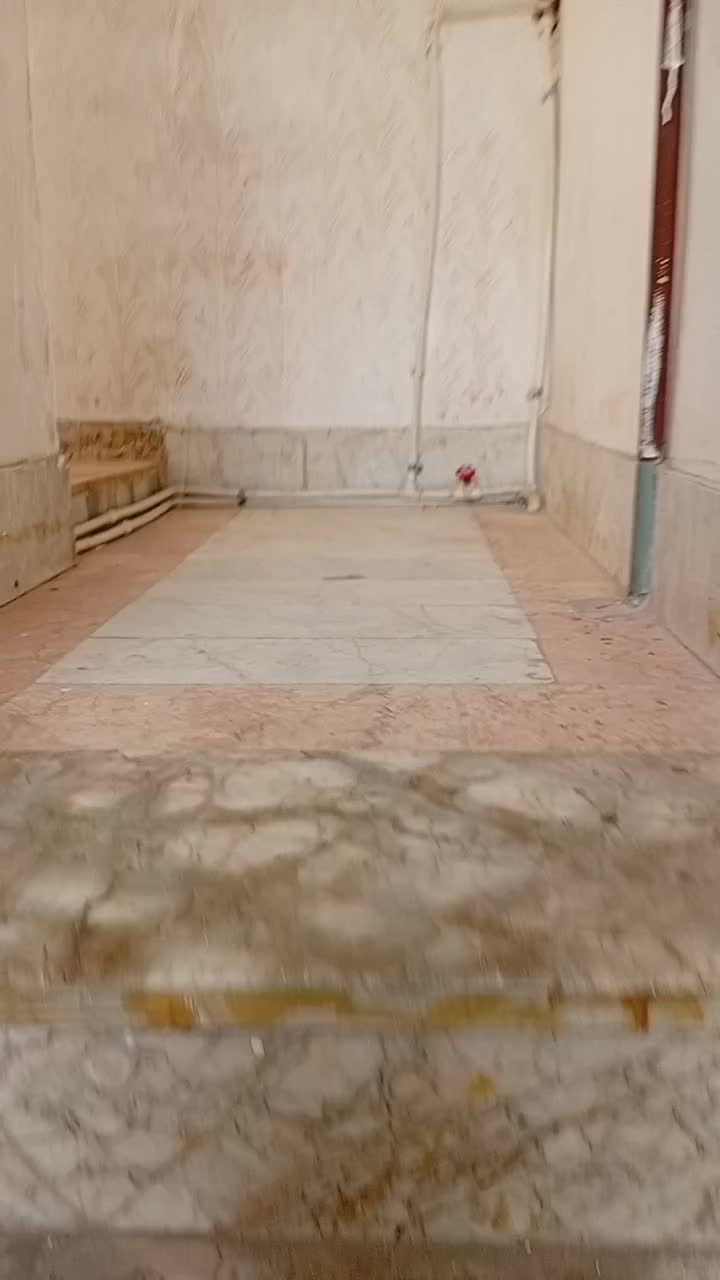 اجاره آپارتمان|اجارهٔ آپارتمان|مشهد, نظام دوست|دیوار