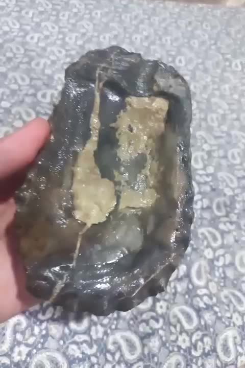 فسیل|کلکسیون اشیاء عتیقه|کرمانشاه, |دیوار