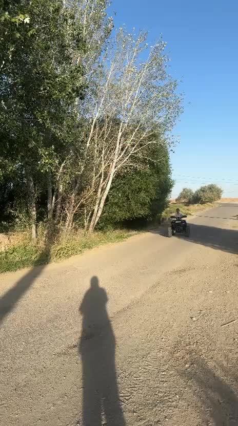 موتورچهارچرخ ،۴چرخ ۱۸۰-۲۰۰ سی سی|موتورسیکلت|تهران, گمرک|دیوار