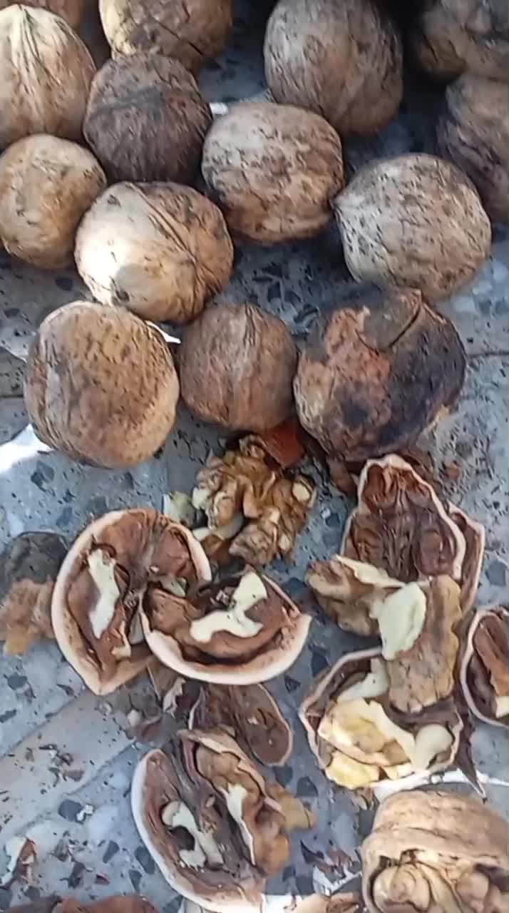گردو بادام زعفران  آلوبخارا مغز بادام|خوردنی و آشامیدنی|یزد, |دیوار