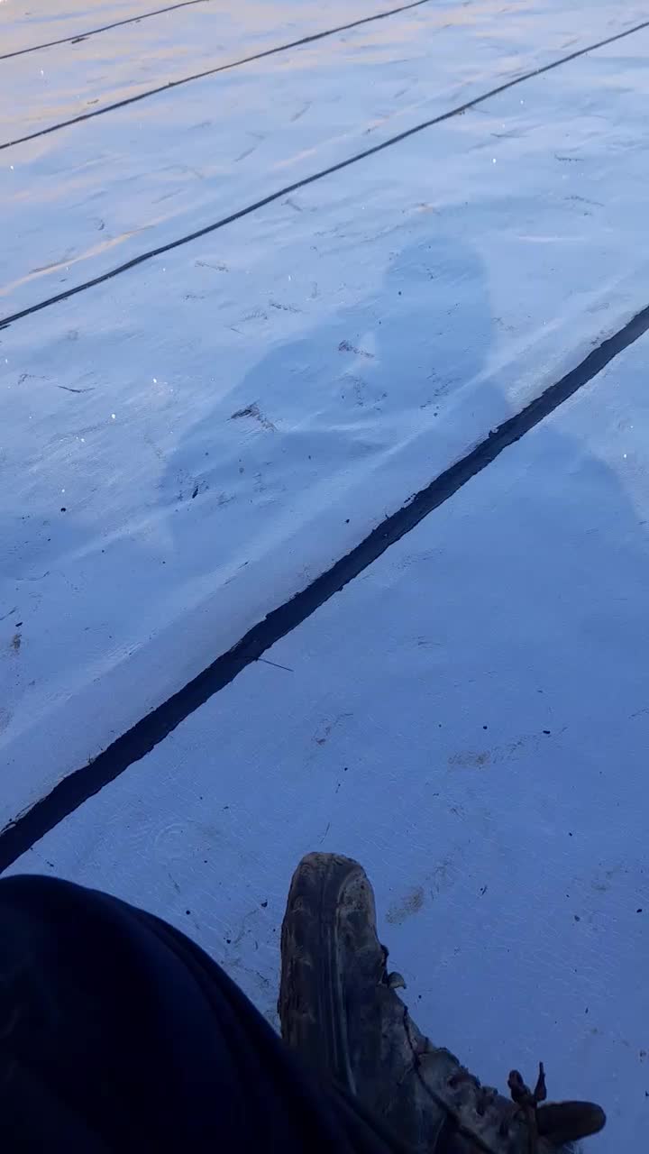 ایزوگام و قیر گونی  آسفالت|خدمات پیشه و مهارت|قم, سید معصوم|دیوار