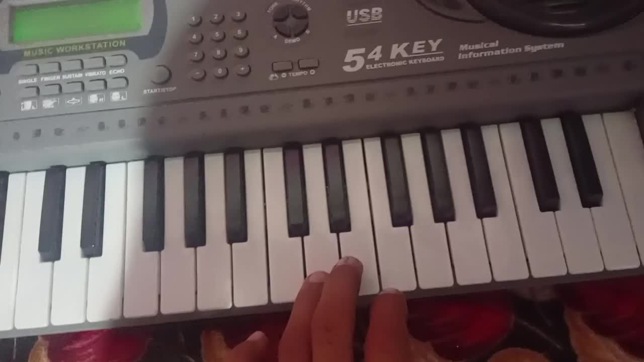 ارگ یاد گیری|پیانو، کیبورد، آکاردئون|بندرعباس, |دیوار