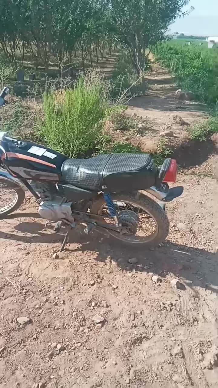 متور 125سرحال|موتورسیکلت|خانمیرزا, |دیوار