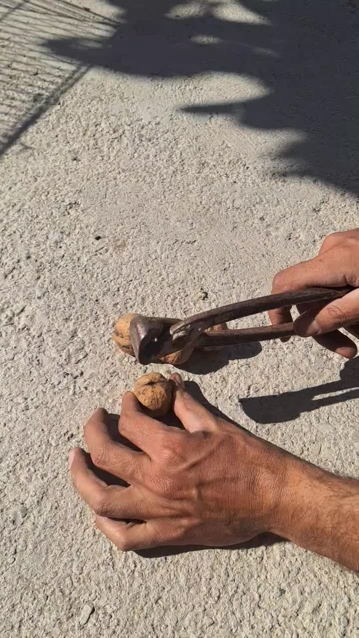 گردو درجه یک|خوردنی و آشامیدنی|نهاوند, |دیوار