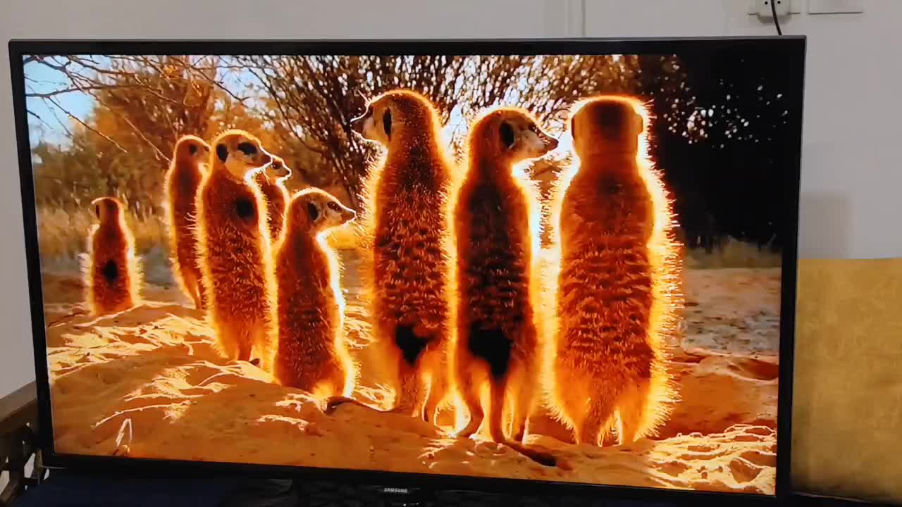 تلویزیون سامسونگ (Samsung) اصل ۴۶ اینچ|تلویزیون و پروژکتور|علی‌آباد کتول, |دیوار