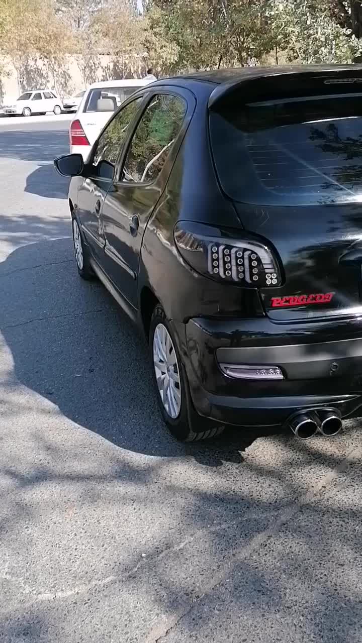 206 فرانسوی استثنایی|خودرو سواری و وانت|کرمان, |دیوار