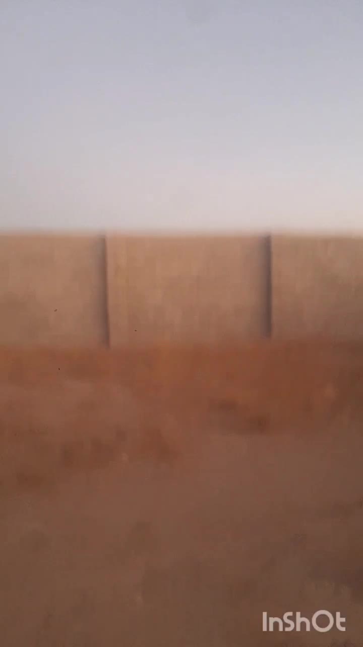 فروش اسب مادیان و کره|اسب و تجهیزات اسبسواری|آباده, |دیوار