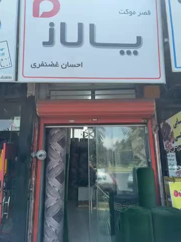 پالاز موکت|موکت|گرگان, |دیوار