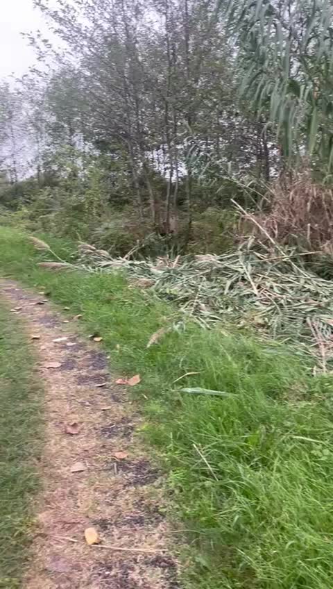 زمین مسکونی|فروش زمین و ملک کلنگی|رشت, بازار|دیوار