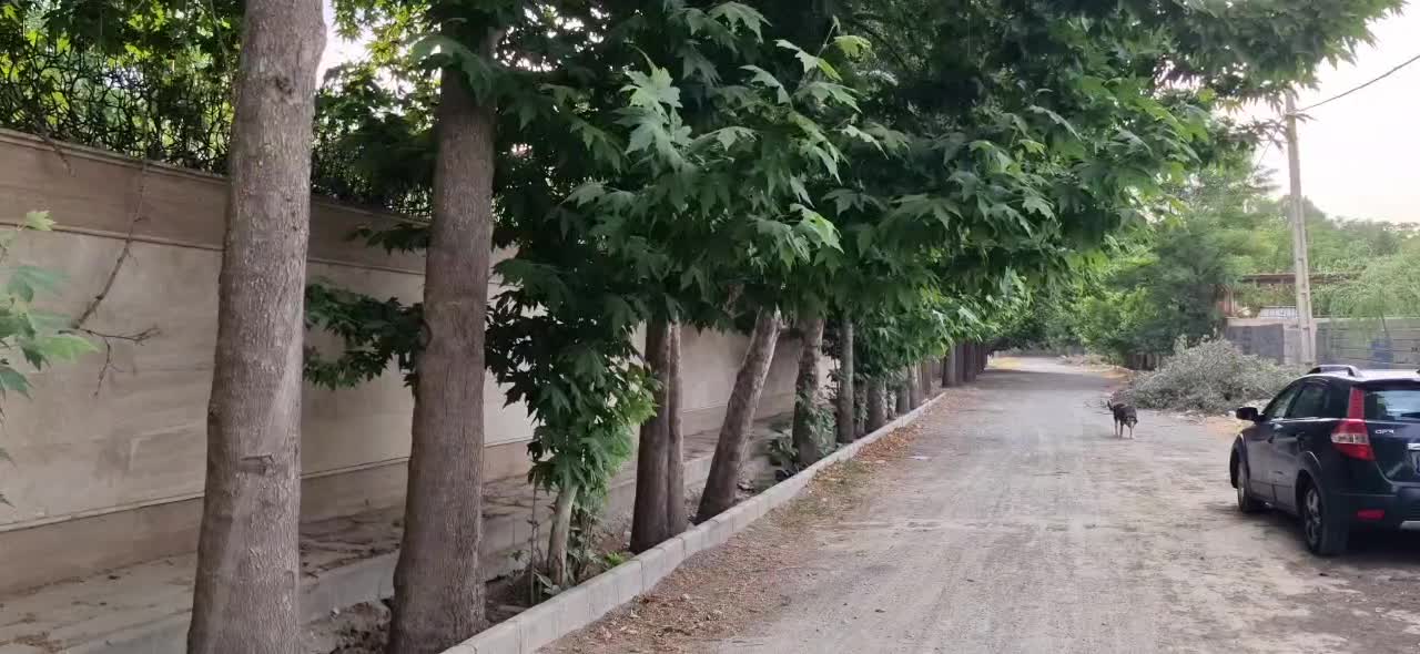 فروش یک زمین چهار دیواری باغی دل‌انگیز در لشکرآباد|فروش زمین و ملک کلنگی|رامجین, |دیوار