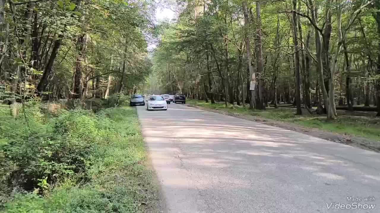 پژو ۲۰۶sd v8 بدون مشابه|خودرو سواری و وانت|اراک, |دیوار