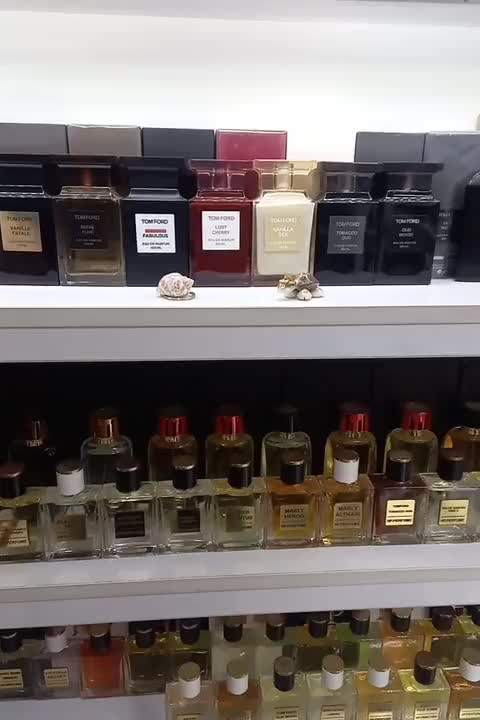 عطر و ادکلن اورجینال|آرایشی، بهداشتی، درمانی|شاهین‌شهر, عطار|دیوار