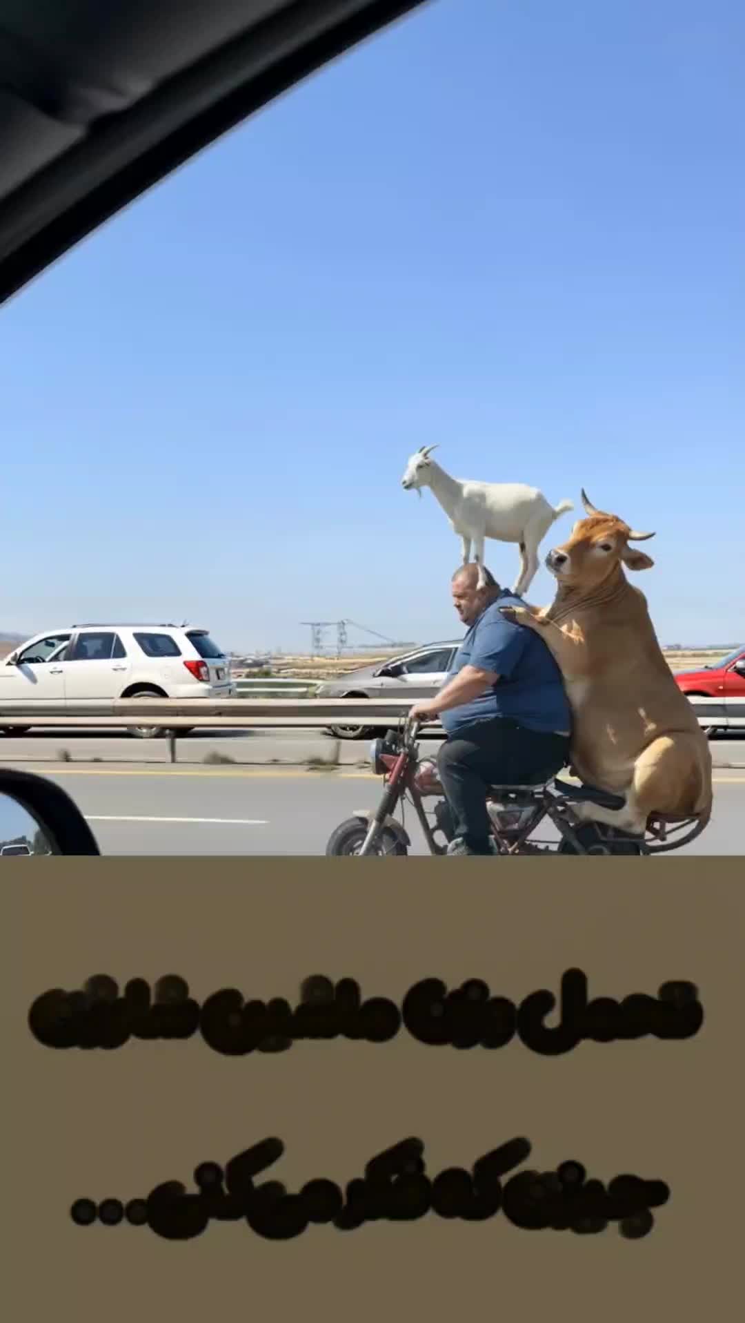 بدون پیش قسط مینی کراس کودک بویین زهرا|اسباببازی|بوئین زهرا, |دیوار