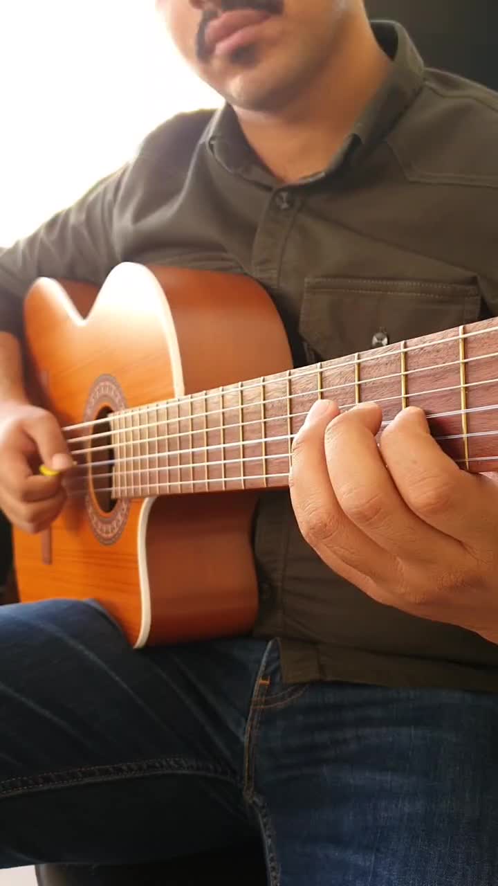 گیتار پارسی در همه مدل|گیتار، بیس، امپلیفایر|مشهد, الهیه|دیوار