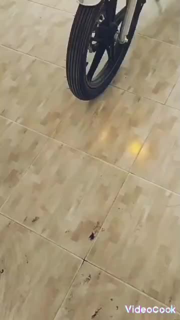 فروش|موتورسیکلت|اهر, |دیوار