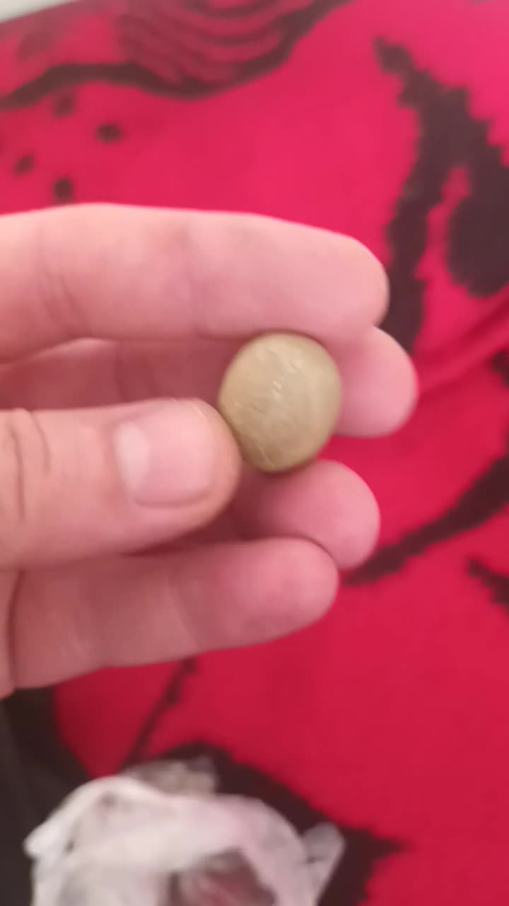 سنگ قیمتی|کلکسیون اشیاء عتیقه|مشگین شهر, |دیوار