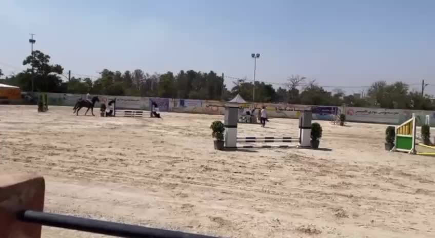 اسب ورزشی جوان فروش فوری|اسب و تجهیزات اسب‌سواری|قزوین, |دیوار