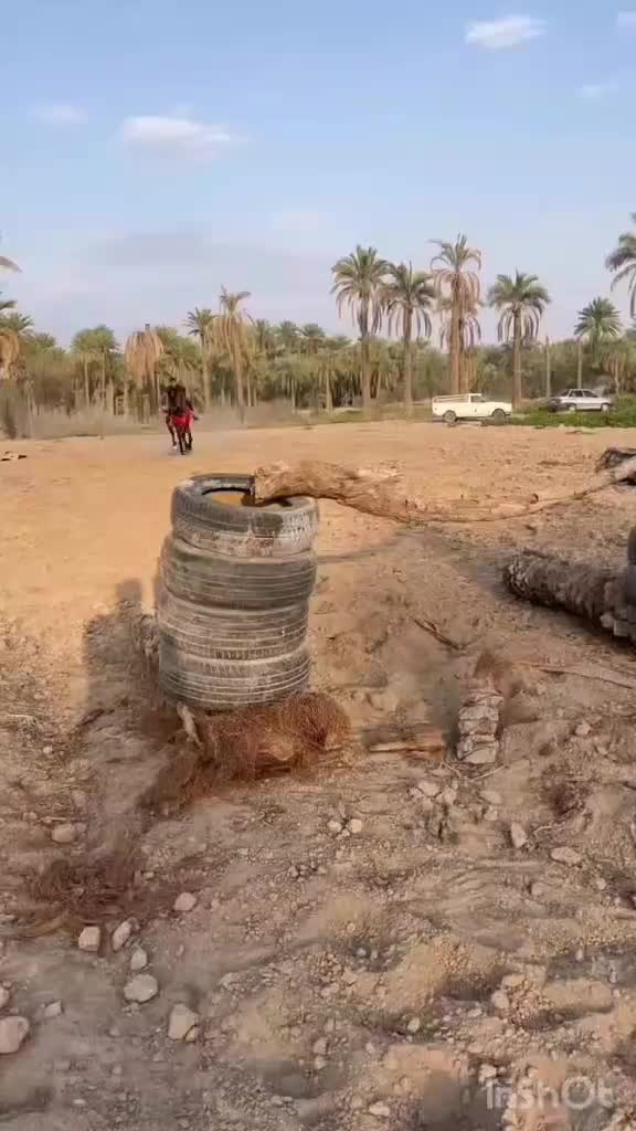 اسب|اسب و تجهیزات اسب‌سواری|اسفندقه, |دیوار