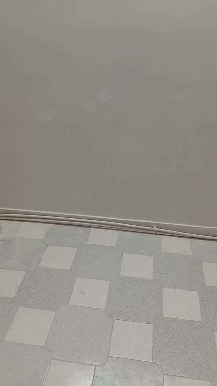 نقاش نقاشی ساختمان باسلیقه شروع کاربعدتماس|خدمات پیشه و مهارت|مشهد, وکیل‌آباد|دیوار