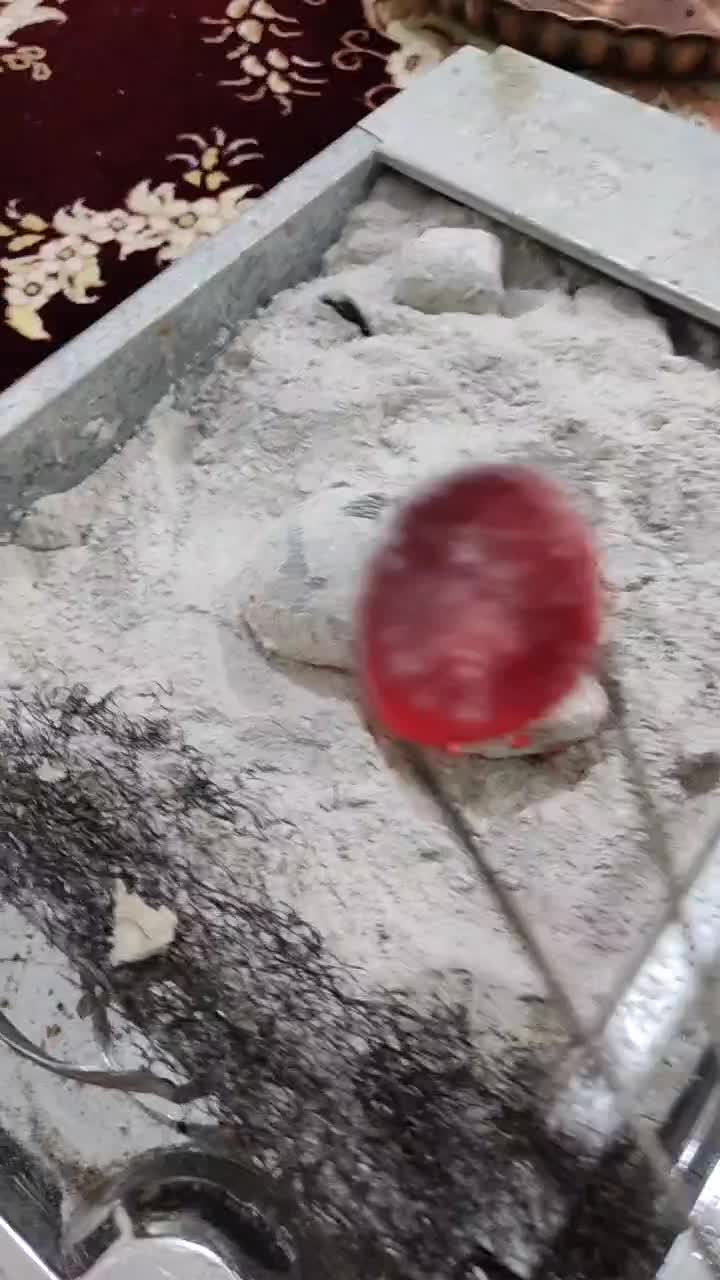 انواع زغال عمده|کوهنوردی و کمپینگ|زاهدان, |دیوار