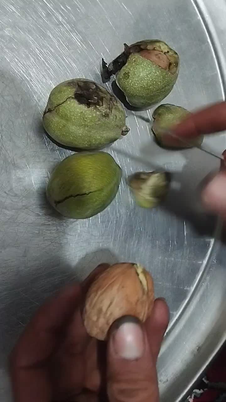گردو تویسرکان تک درخت|خوردنی و آشامیدنی|تهران, نیاوران|دیوار