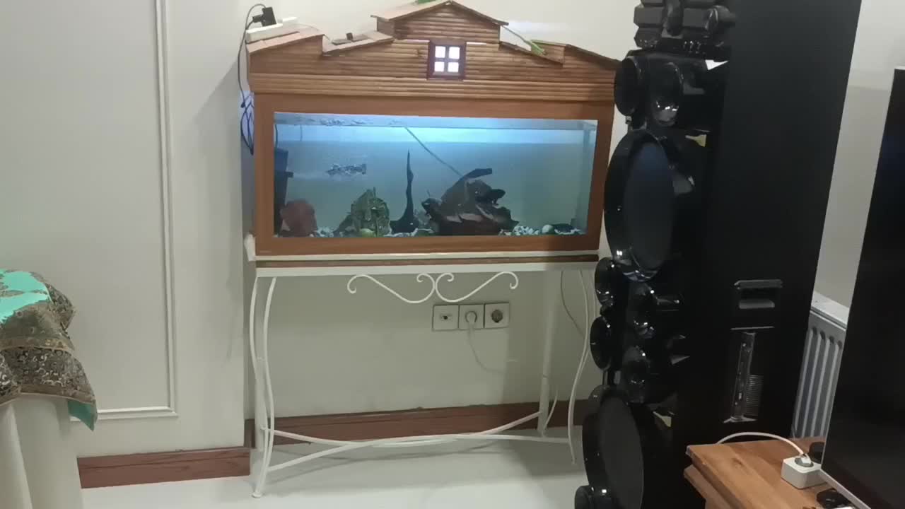 آکواریم و میز فرفوژه و ماهی|ماهی|اصفهان, امیرعرب|دیوار