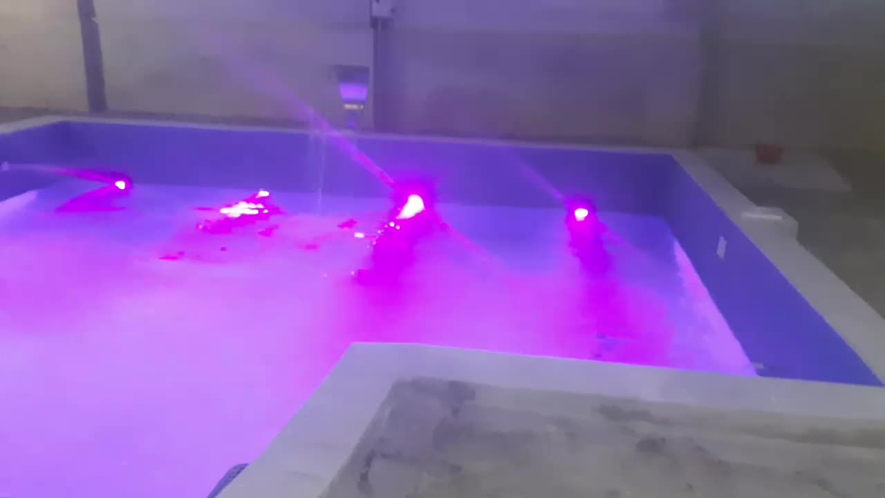 ویلا باغ استخر دار|اجارهٔ کوتاه‌مدت ویلا و باغ|بندرعباس, |دیوار