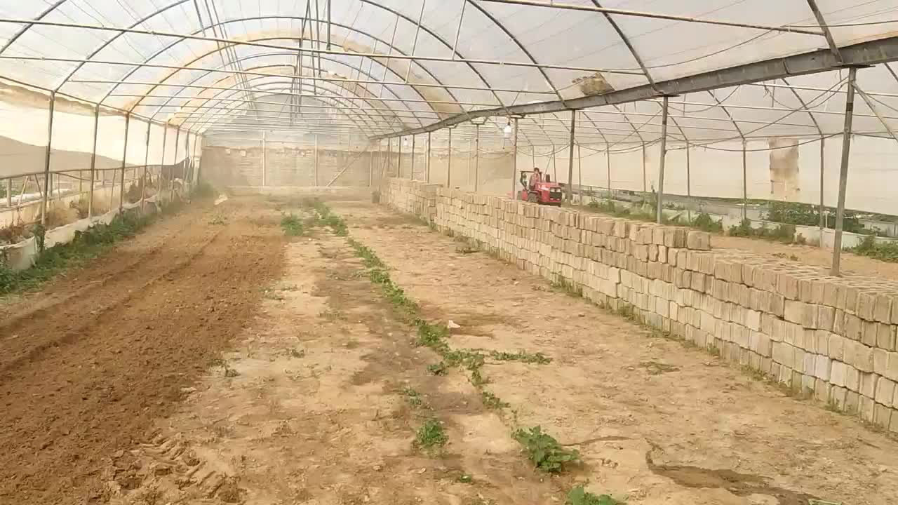 کارباغ و گلخانه با تراکتور کمرشکن ۹۵۰|خدمات باغبانی و درختکاری|برازجان, |دیوار