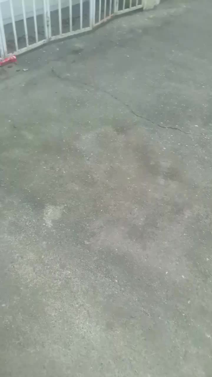 اجاره مجموعه کافه و بستنی فروشی در موقعیت توریستی|اجارهٔ مغازه و غرفه|خشکبیجار, |دیوار